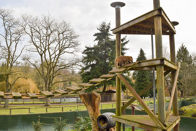 Animals in Beale Park, one of the best things to do in Reading with kids