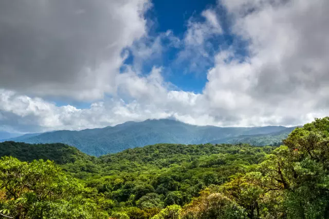 Monteverde scenery from a hanging bridge