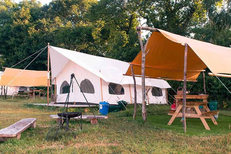 Top of the Woods eco glamping tent in Wales