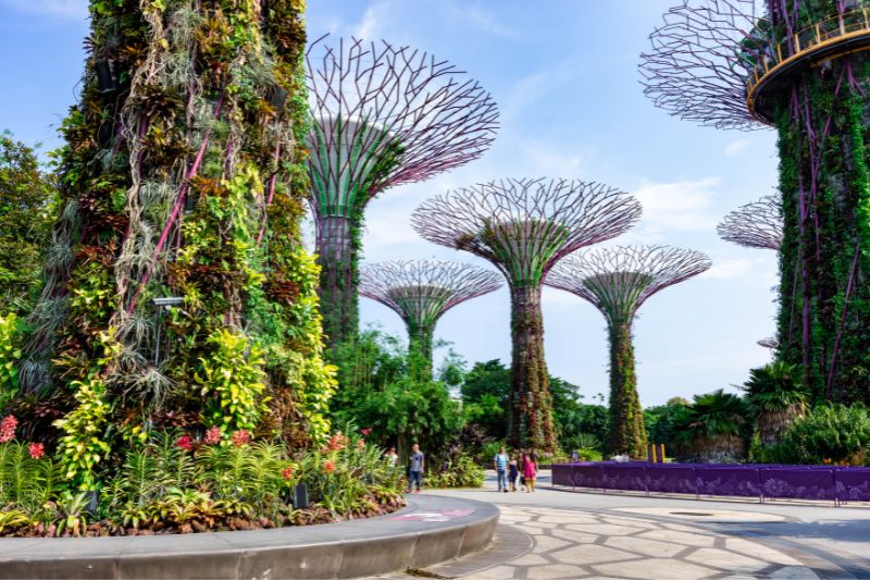 Gardens by the Bay in Singapore, a very humid country