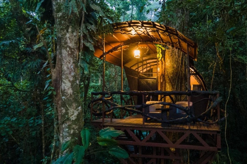 The beautiful treehouse at sunset in Maquenque Ecolodge 