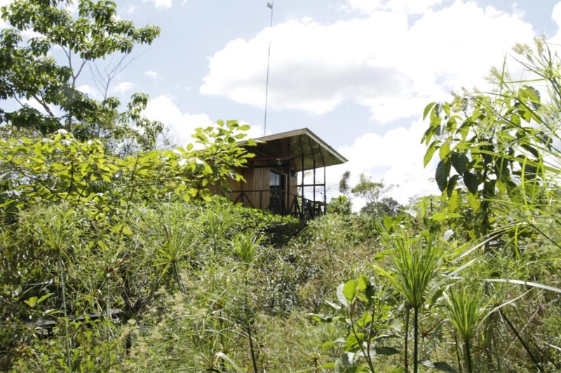 The Onca Tours Treehouse is set amongst the rainforest 